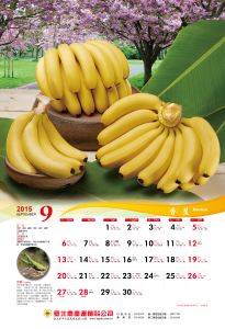 20159月香蕉-01
