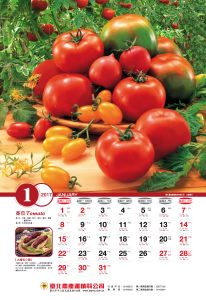 2017蔬菜1月番茄