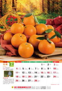 2月柑橘