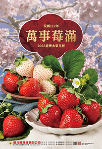 臺北農產水果封面