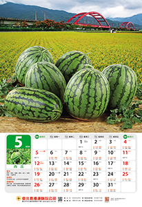 5月